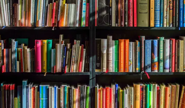 Image of Rows of colourful books on shelves