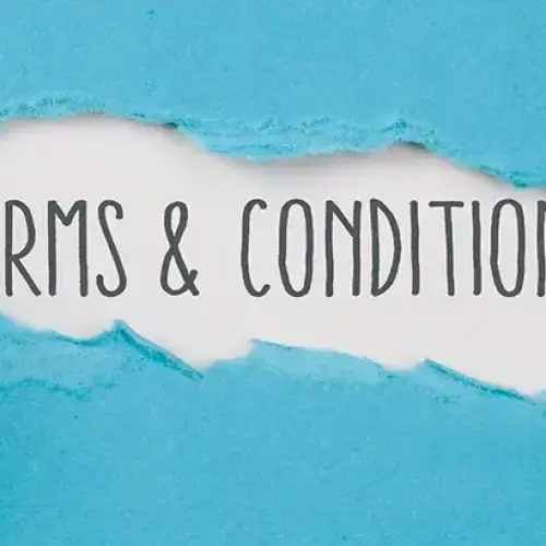 Terms & conditions crop