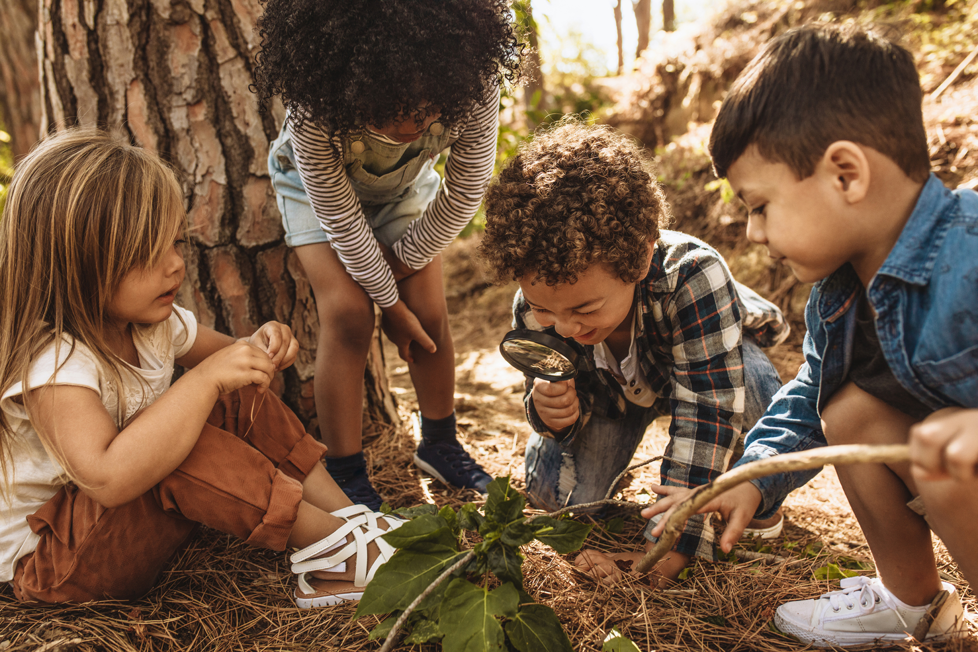 nature hunt children